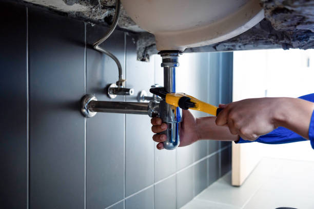 Best Residential Plumbing Services  in Palmyra, WI